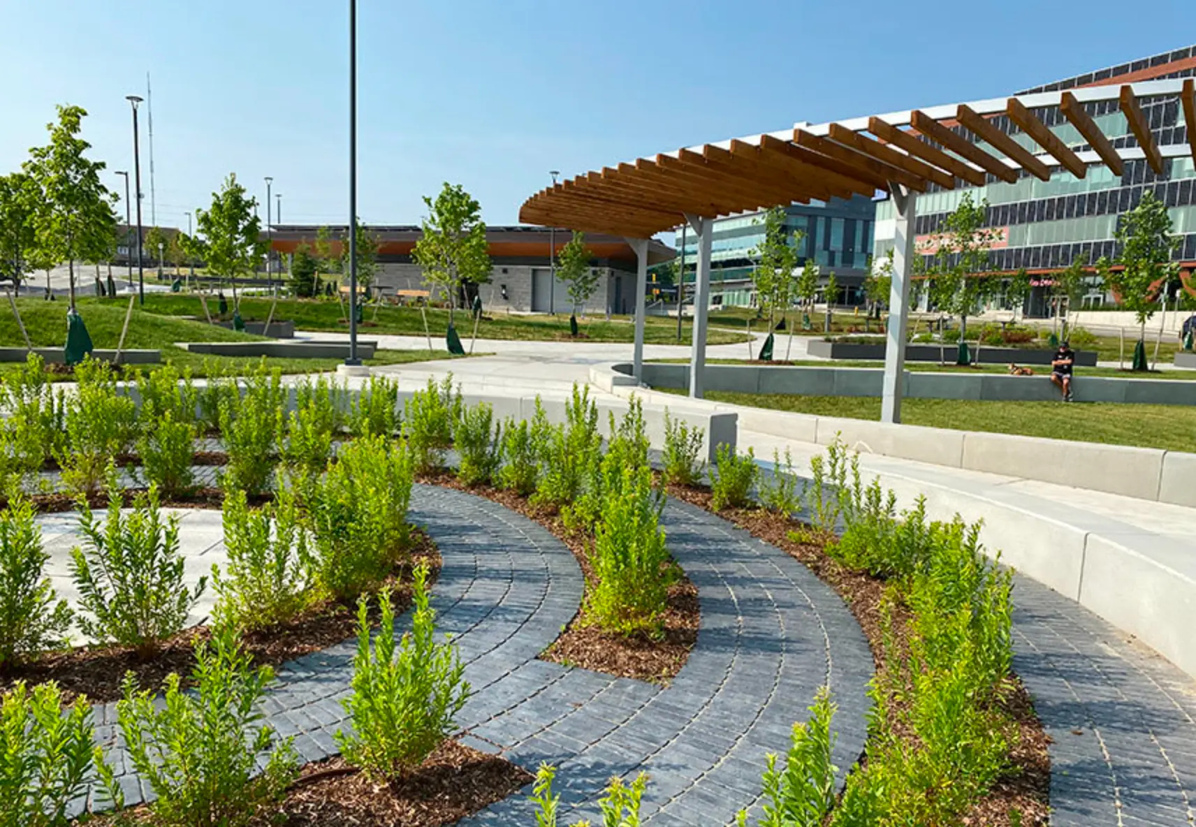 Campus Promenade